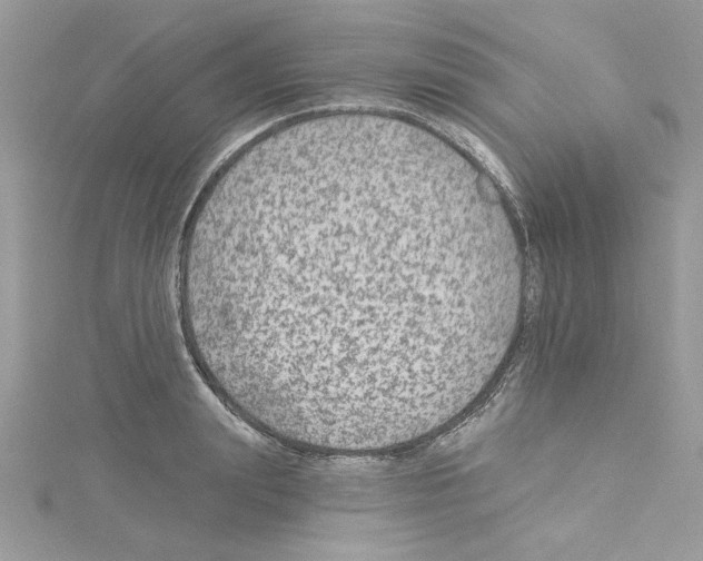 X0000114080847200911161014