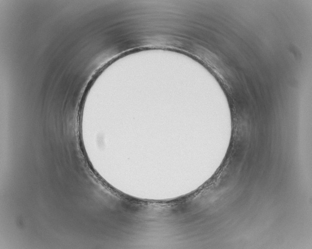 X0000114080848200911161014