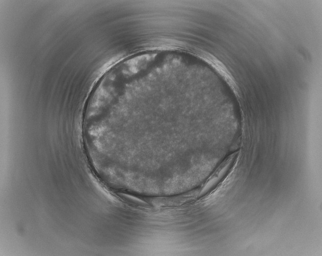 X0000114080850200911161014