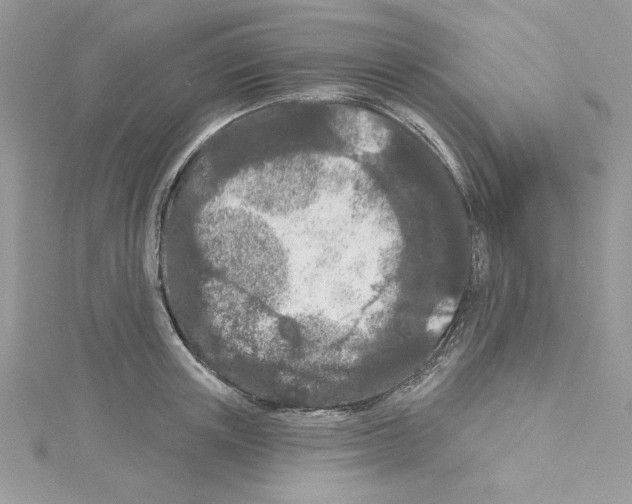 X0000114080851200911161014