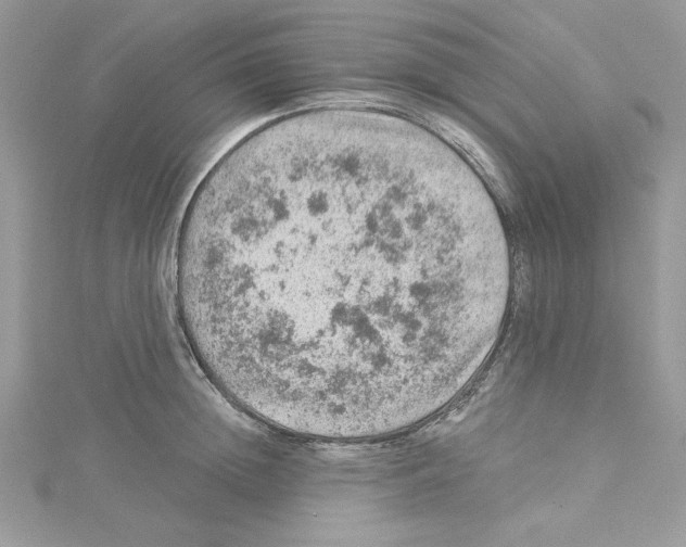 X0000114080852200911161014