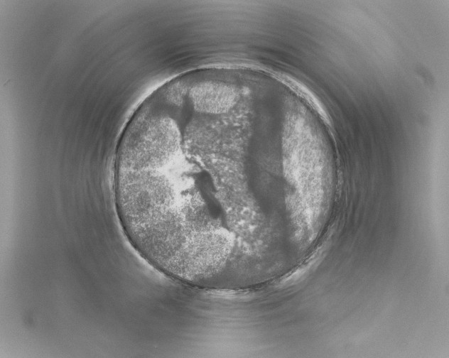 X0000114080855200911161014