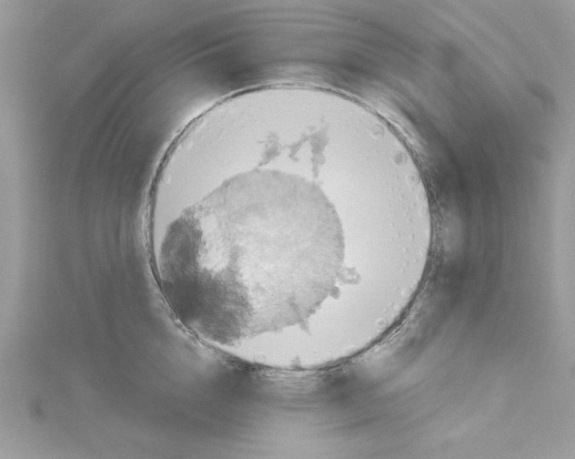 X0000114080856200911161014