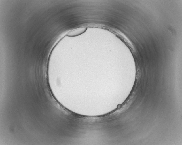 X0000114080860200911161014