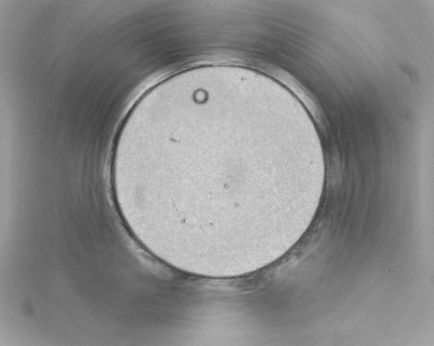 X0000114080861200911161014