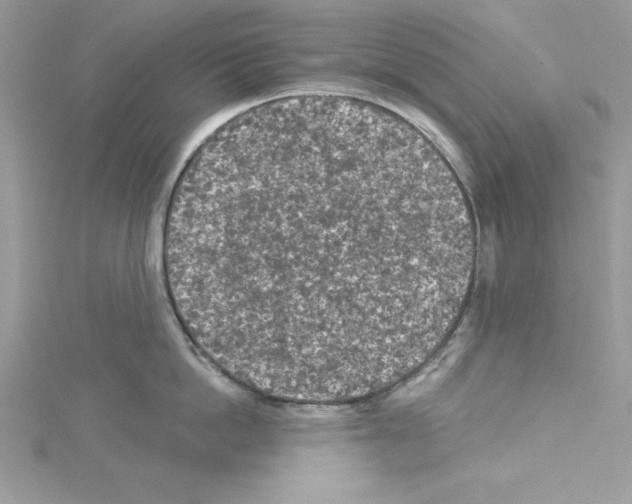 X0000114080862200911161014