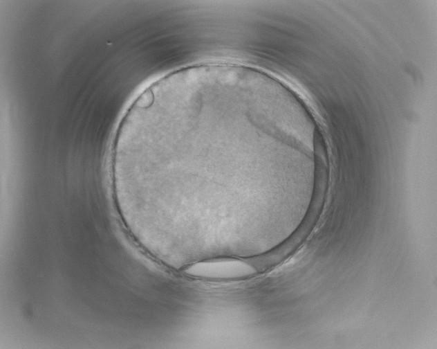 X0000114080864200911161014