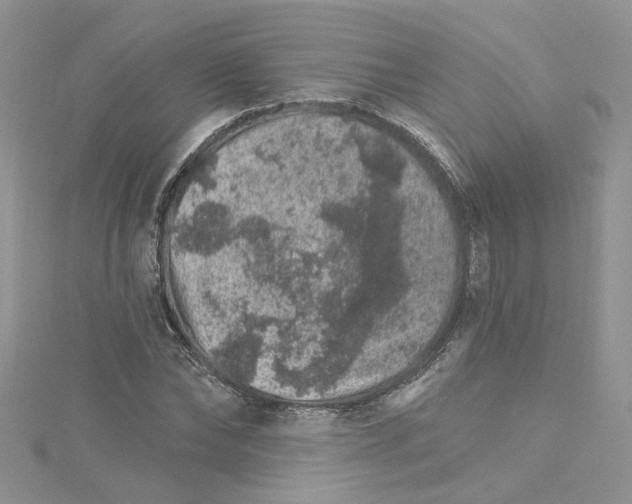 X0000114080878200911161014