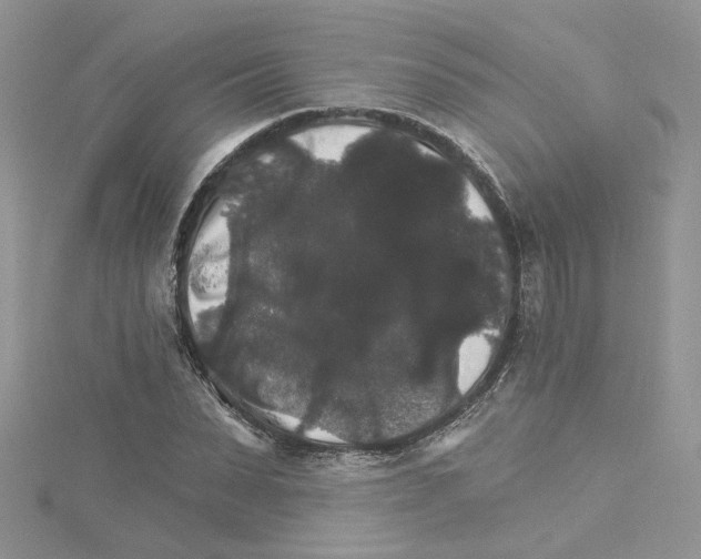 X0000114080879200911161014