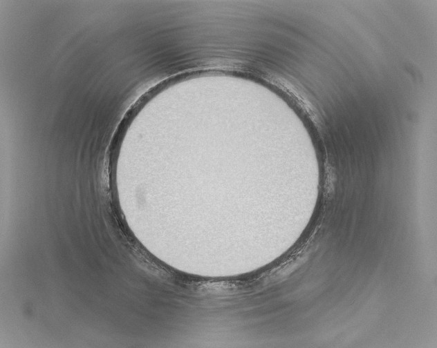 X0000114080883200911161013