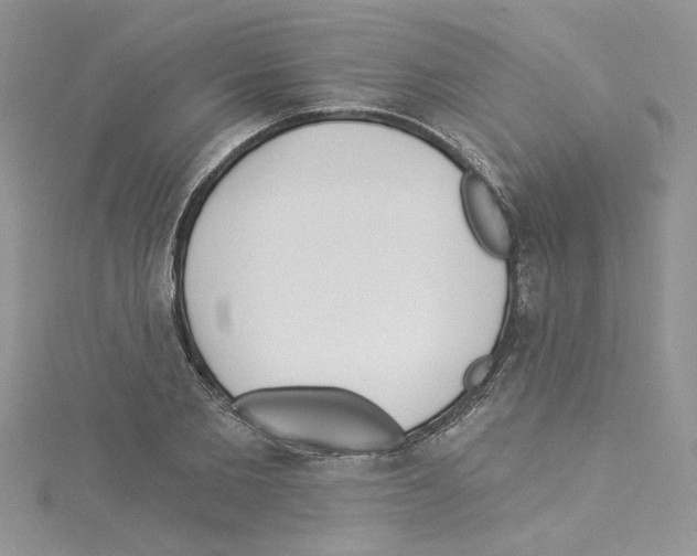 X0000114080885200911161013