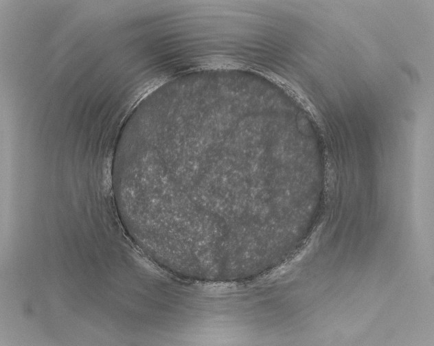 X0000114080889200911161013