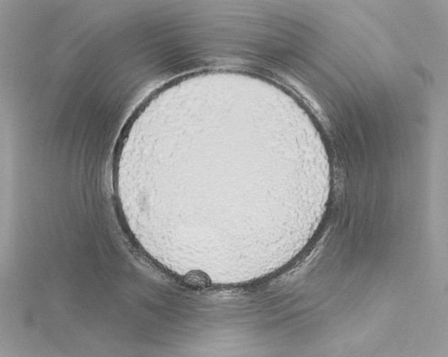 X0000114080891200911161013