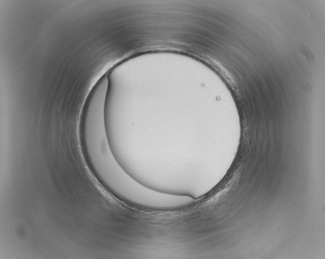 X0000114080893200911161013