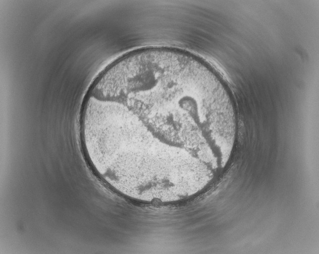 X0000114080895200911161013