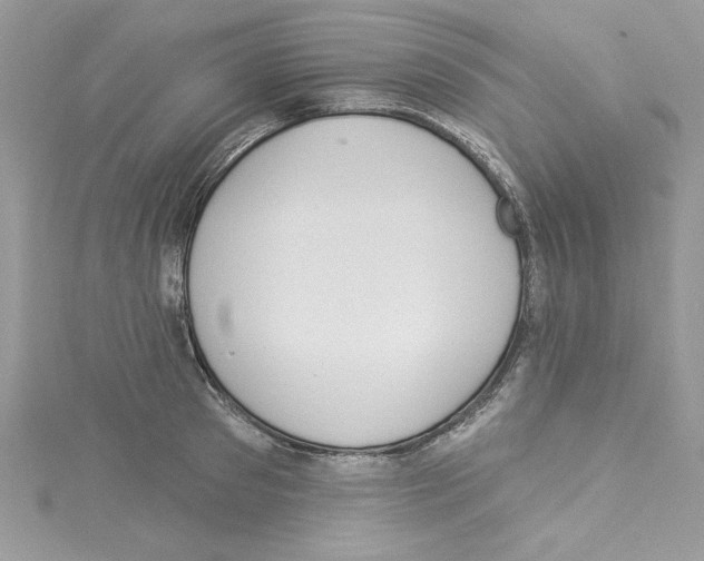 X0000114080897200911161013