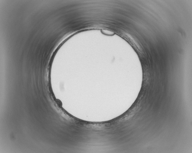 X0000114080900200911161013