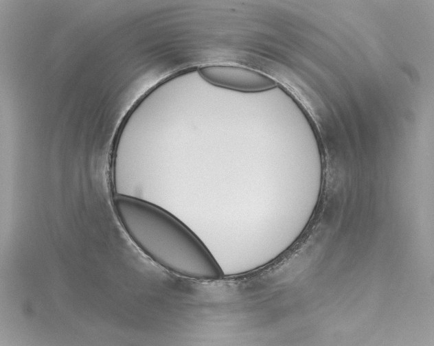 X0000114080901200911161013