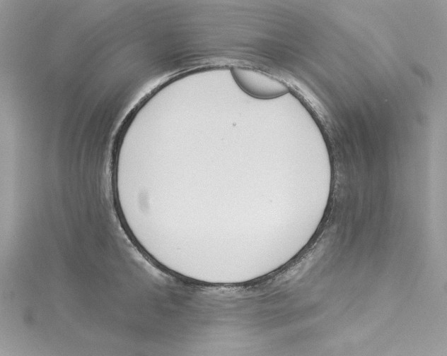 X0000114080902200911161013