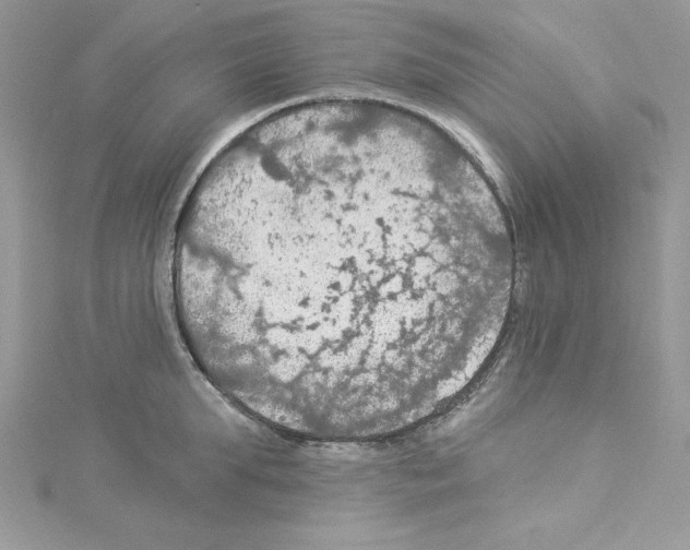 X0000114080903200911161013