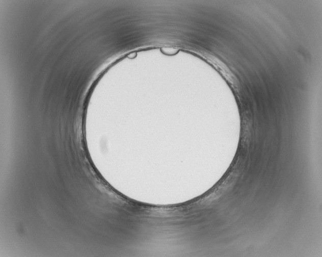 X0000114080904200911161013