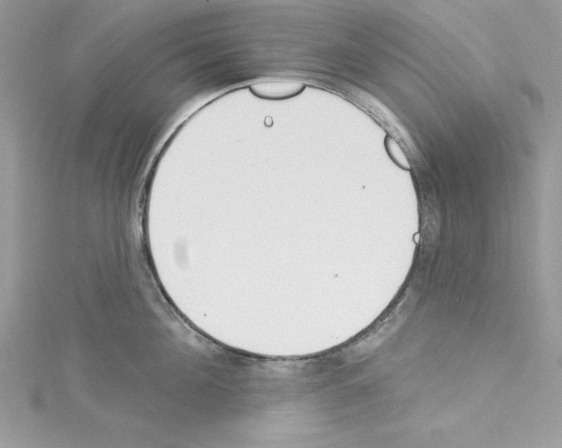 X0000114080908200911161013