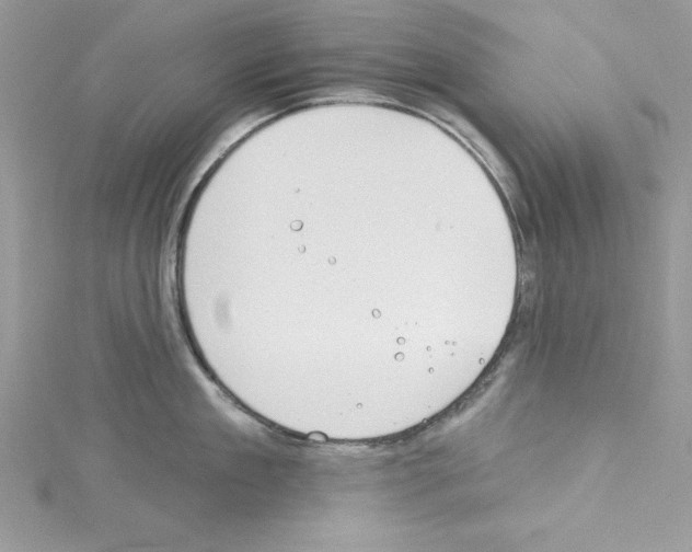 X0000114080909200911161013