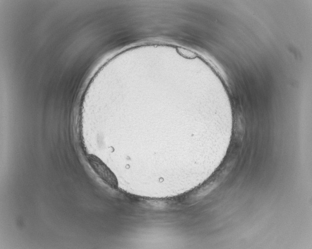 X0000114080911200911161013