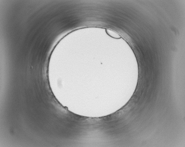 X0000114080912200911161013