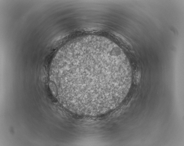 X0000114080917200911161013