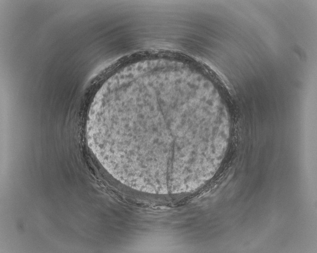 X0000114080919200911161013