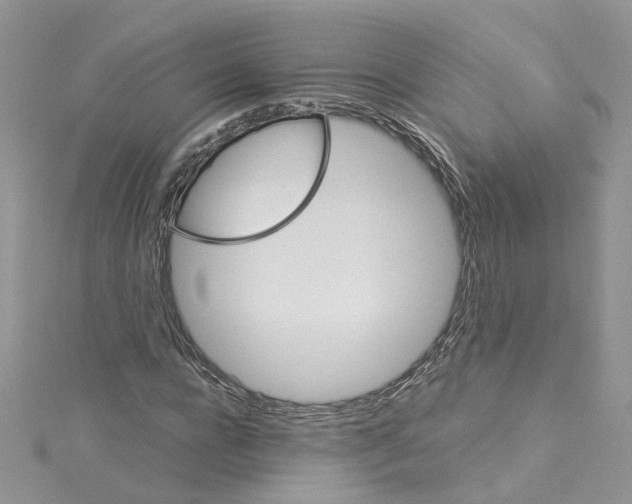 X0000114080920200911161013