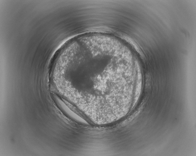 X0000114080923200911161013