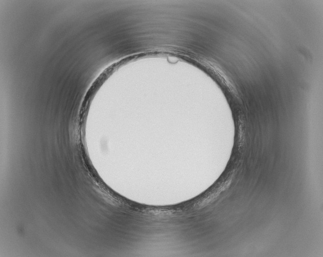 X0000114080924200911161013