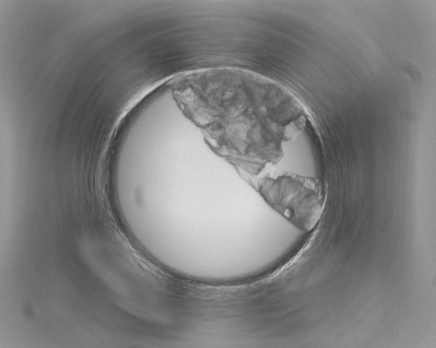 X0000114080925200911161013