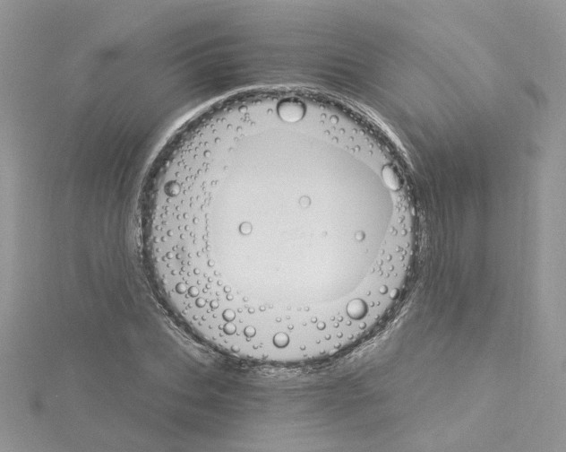 X0000114080927200911161013