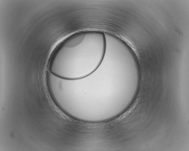 X0000114080928200911161013