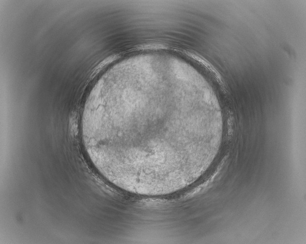 X0000114080929200911161013