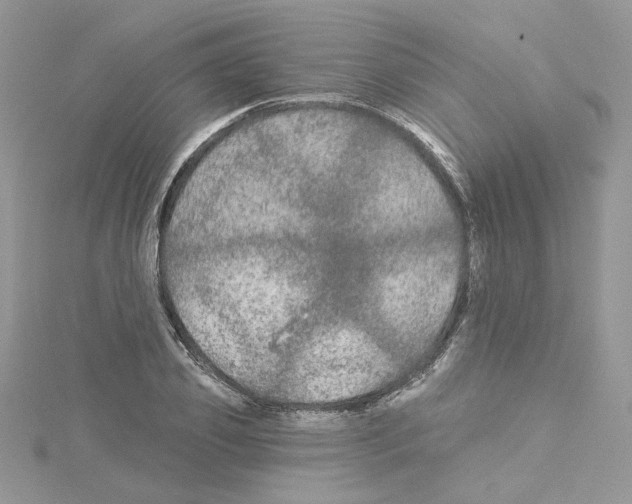 X0000114080933200911161013