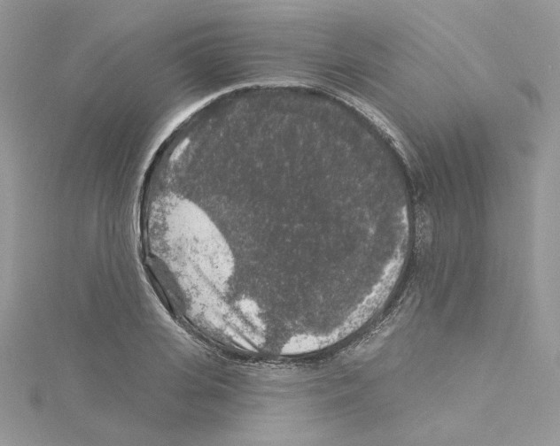 X0000114080935200911161013