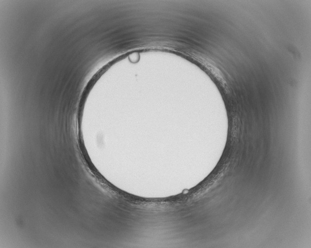 X0000114080936200911161013