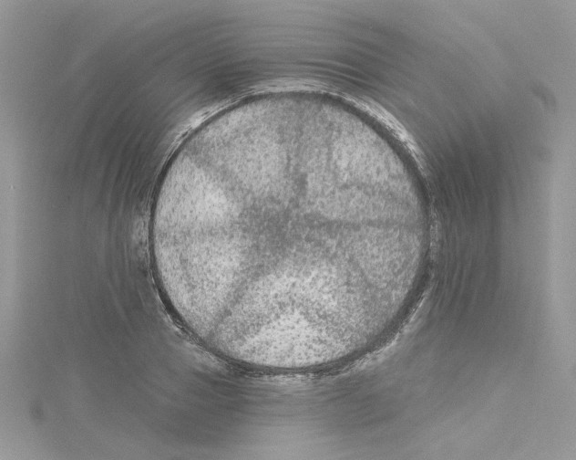 X0000114080937200911161013