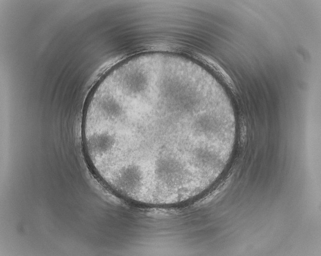 X0000114080938200911161013