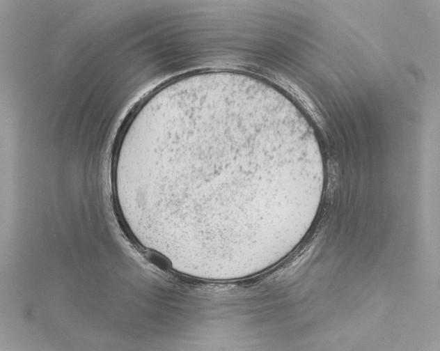 X0000114080939200911161013