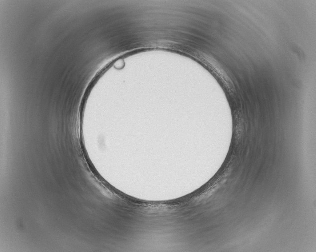 X0000114080940200911161013