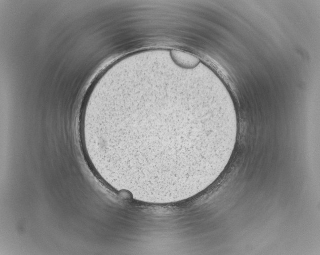 X0000114080947200911161013