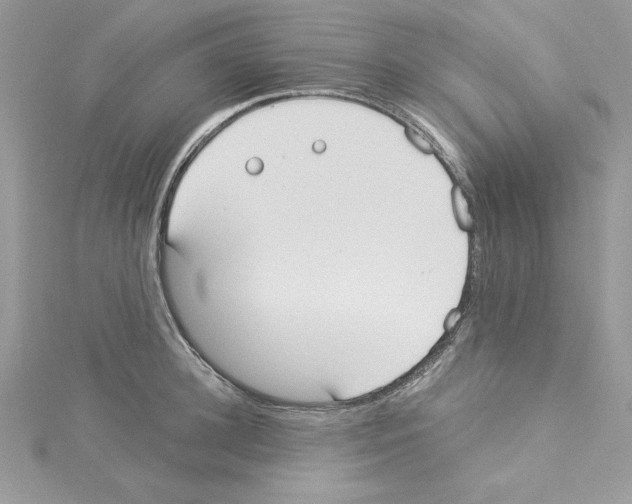 X0000114080948200911161013