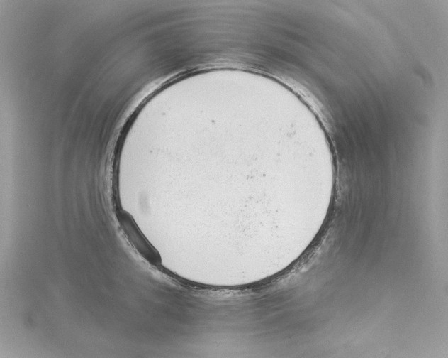 X0000114080949200911161013