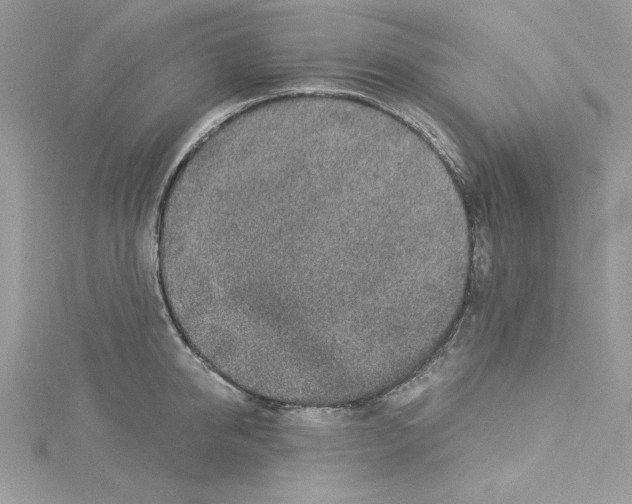 X0000114080950200911161013