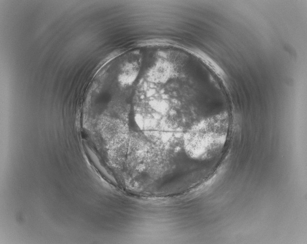 X0000114080953200911161013